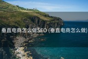 垂直电商怎么做SEO (垂直电商怎么做)