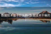数据技术是干什么的 (数据技术干嘛的)
