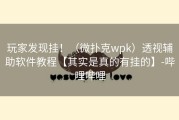 玩家发现挂！（微扑克wpk）透视辅助软件教程【其实是真的有挂的】-哔哩哔哩