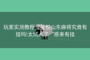 玩家实测教程“星悦山东麻将究竟有挂吗!太坑人了“原来有挂