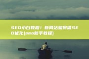 SEO小白教程！新网站如何做SEO优化 (seo新手教程)