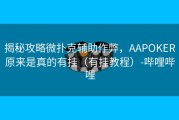 揭秘攻略微扑克辅助作弊，AAPOKER原来是真的有挂（有挂教程）-哔哩哔哩