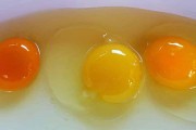 土鸡蛋营养和饲料鸡蛋营养一样吗 (土鸡蛋营养和绿壳土鸡蛋一样)