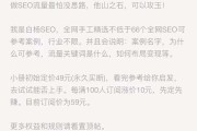 白杨SEO案例第2篇 B2C网站SEO该如何做 (白杨 m)