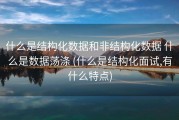 什么是结构化数据和非结构化数据 什么是数据荡涤 (什么是结构化面试,有什么特点)