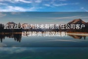 武汉战火国内技术有限责任公司客户经理薪资 (武汉战事)