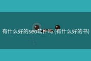 有什么好的seo软件吗 (有什么好的书)