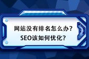怎样刷网站排名 (怎样刷网站排行榜视频)