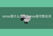 sense是什么品位 (sense是可数名词吗)