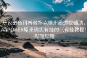 玩家必备科普微扑克德州局透视辅助，AAPOKER原来确实有挂的（有挂教程）-哔哩哔哩