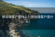 移动端客户是什么? (移动端客户是什么)