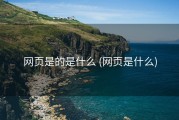 网页是的是什么 (网页是什么)
