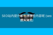 SEO站内提升都包括哪些内容呢 (seo提升网站)