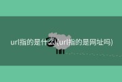 url指的是什么 (url指的是网址吗)