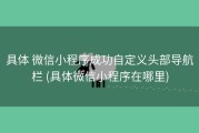 具体 微信小程序成功自定义头部导航栏 (具体微信小程序在哪里)