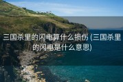 三国杀里的闪电算什么损伤 (三国杀里的闪电是什么意思)
