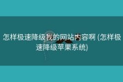 怎样极速降级我的网站内容啊 (怎样极速降级苹果系统)