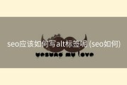 seo应该如何写alt标签呢 (seo如何)