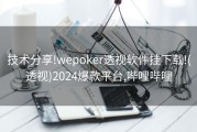 技术分享!wepoker透视软件挂下载!(透视)2024爆款平台,哔哩哔哩