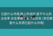 它起什么作用 网上所说的 是干什么的 点击率 点击率高了有什么好处 (多巴胺是什么东西它起什么作用)