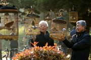 北京公立宠物医院有哪些? (北京公立宠物医院)