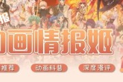 二次元饭圈化现象解析：从都市传说到现实影响的深度探讨