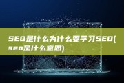 SEO是什么 为什么要学习SEO (seo是什么意思)