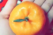橘子吃多了真的会让皮肤变黄吗 (橘子吃多了真的会变小黄人)