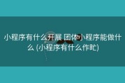 小程序有什么开展 团体小程序能做什么 (小程序有什么作甿)