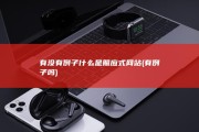 有没有例子 什么是照应式网站 (有例子吗)