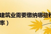 修建行业税负率是多少 (税负率建筑行业)