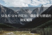 SEO 和 SEM 的区别：谈恋爱与嫖娼的搞笑解释
