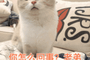 转自公众号bb姬：下班后看B哥分享直播间的趣事