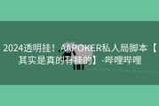 2024透明挂！AAPOKER私人局脚本【其实是真的有挂的】-哔哩哔哩