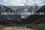 钻研对象是什么 (钻研对象是什么意思啊)