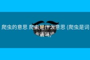 爬虫的意思 爬虫是什么意思 (爬虫是词语吗)