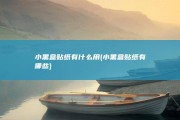 小黑盒贴纸有什么用 (小黑盒贴纸有哪些)