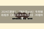 2024已更新！（微扑克wpk）专用辅助程序【其实是真的有挂的】-哔哩哔哩