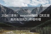 2024已更新！wepoker辅助【其实是真的有挂的】-哔哩哔哩