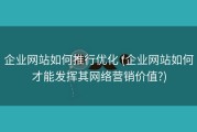 企业网站如何推行优化 (企业网站如何才能发挥其网络营销价值?)