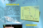蜂鸟的悬停技术有多凶猛