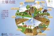有哪些罕用的seo排名软件 (有哪些罕用的成语)