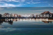2024新研发！WePoKer有没有透视-2024专业开发辅助透视-哔哩哔哩