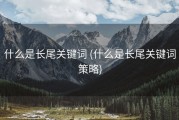 什么是长尾关键词 (什么是长尾关键词策略)