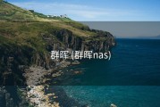 群晖 (群晖nas)