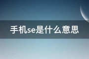 怎样应用SEO技术来赚钱 (怎样应用色谱法分离大黄酚和大黄素甲醚)