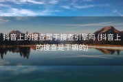 抖音上的搜查属于搜查引擎吗 (抖音上的搜查是干嘛的)