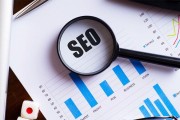 seo总监须要考什么证书 (seo运营总监招聘)