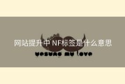 网站提升中 NF标签是什么意思