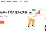 网站是如何靠点击量来盈利的 (网站是如何靠运营的)